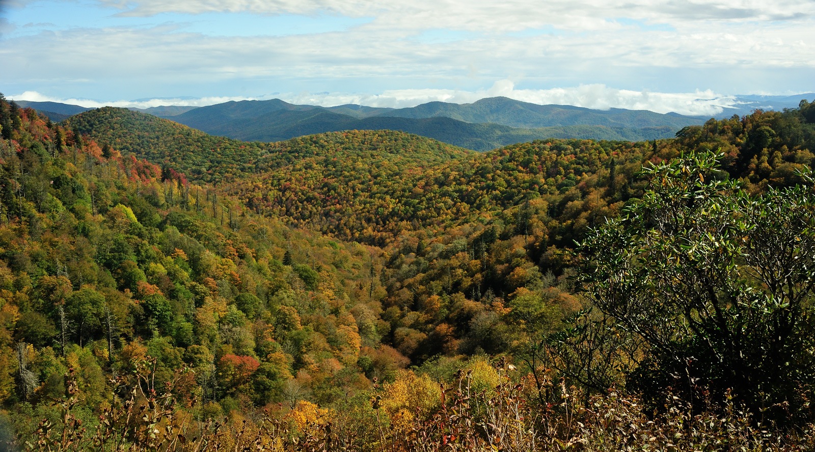 Blue Ridge Parkway [28 mm, 1/200 sec at f / 10, ISO 400]